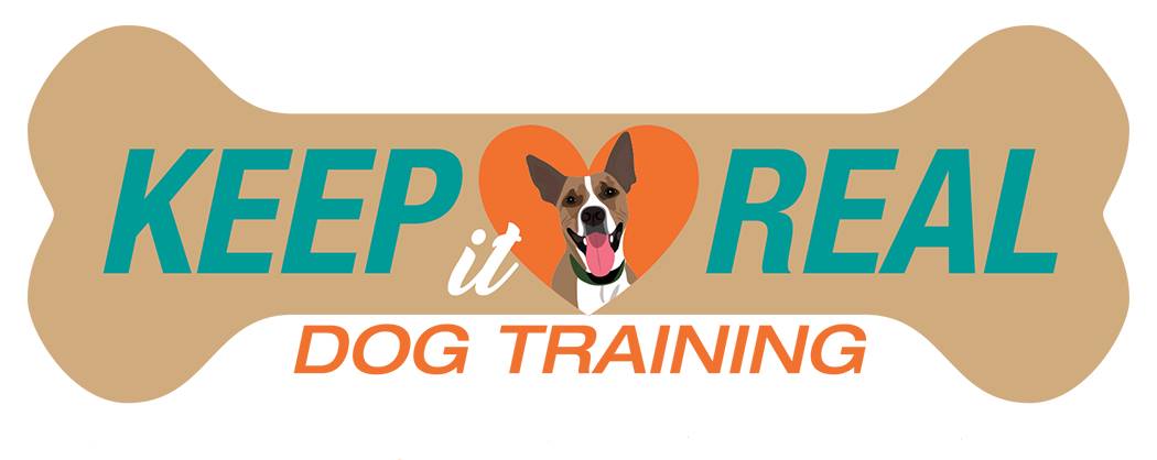 The Importance of Structure & Routine by Ginger Martel from Keep it Real Dog Training