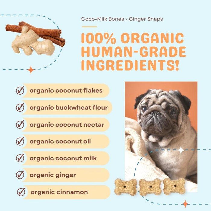 Coco Therapy Coco-Milk Bones Dog Treats Ginger Snaps