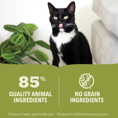 Acana Cat Grain Free Pate Can Food Lamb & Lamb Liver