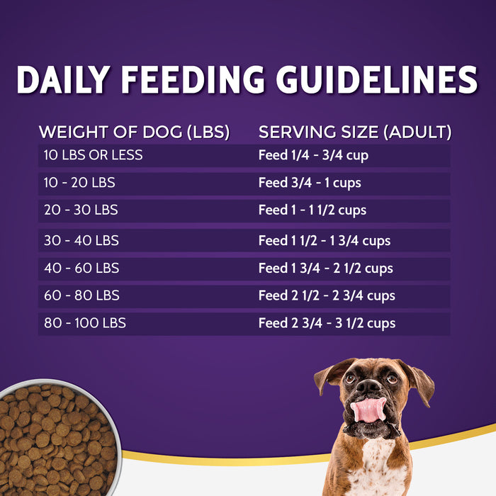 Zignature Grain Free Dog Dry Food Limited Ingredient Duck