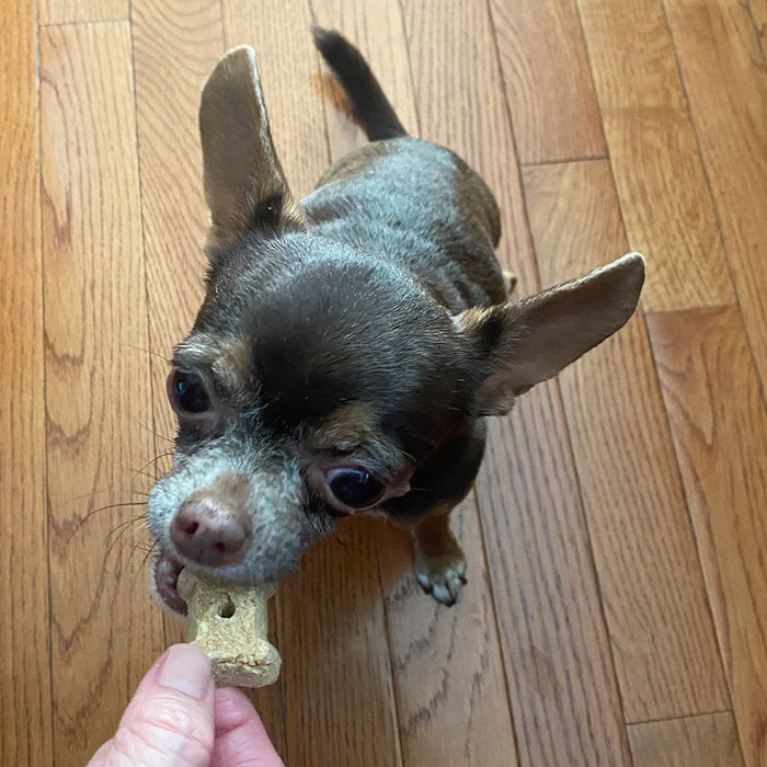 Coco Therapy Coco-Milk Bones Dog Treats Ginger Snaps