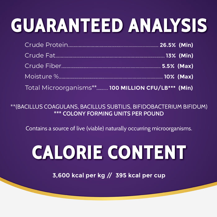 Zignature Grain Free Dog Dry Food Limited Ingredient Kangaroo