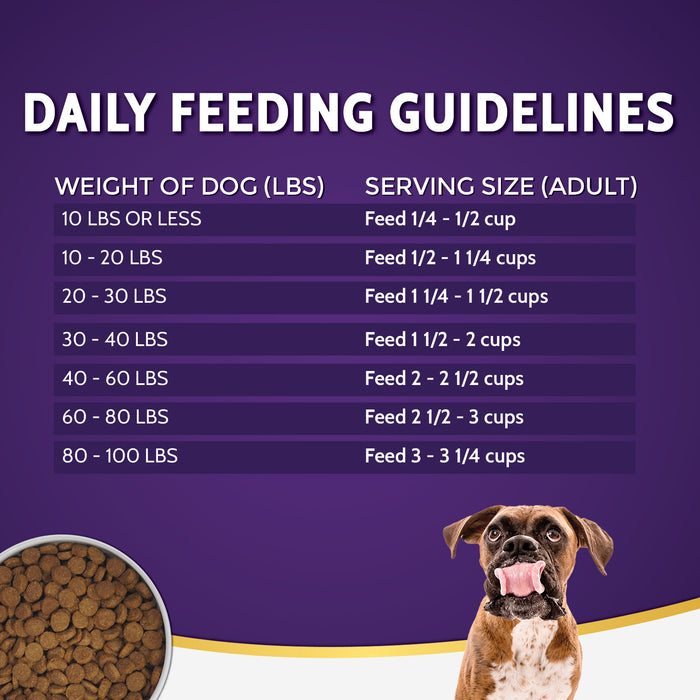 Zignature Grain Free Dog Dry Food Limited Ingredient Kangaroo