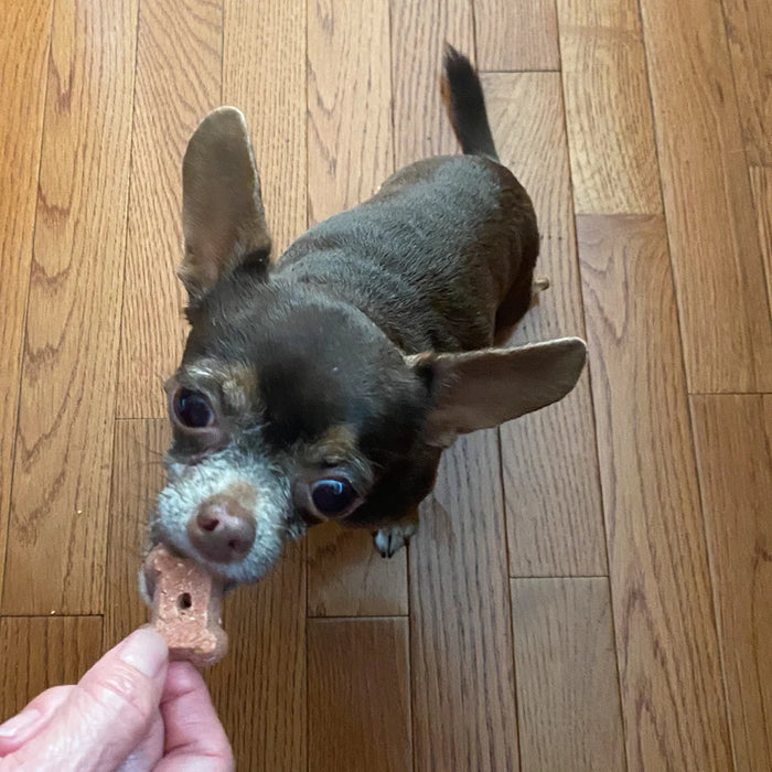 Coco Therapy Coco-Milk Bones Dog Treats Red Velvet