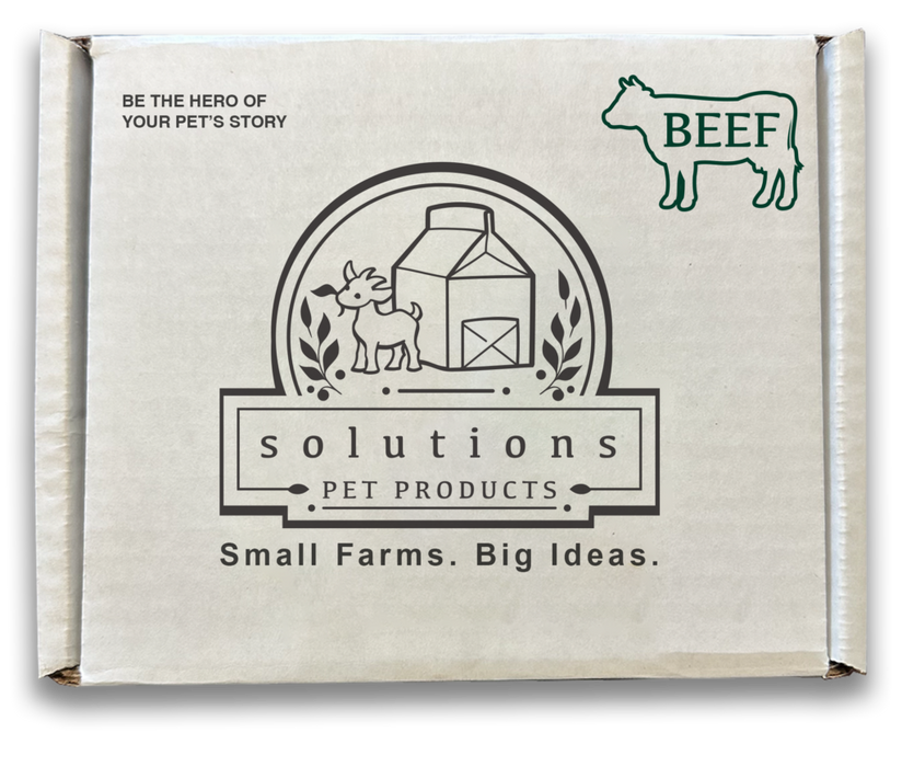 Solutions Pet Products Frozen Raw Adult Dog Food Beef Recipe