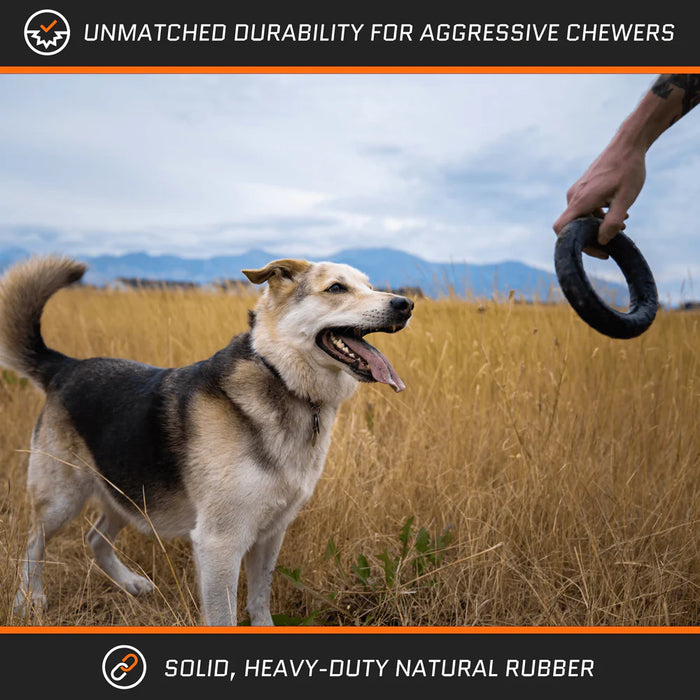 Monster K9 Dog Toy Chew Ring