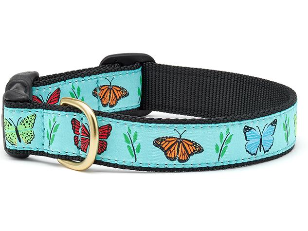 Up Country Dog Collar Butterfly Effect