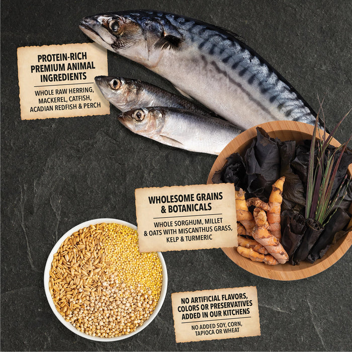 Acana 60% Wholesome Grains Dog Dry Food Sea to Stream Fish