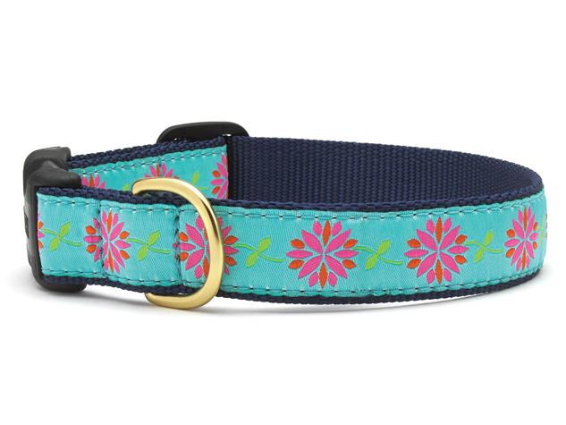 Up Country Dog Collar Dahlia Darling