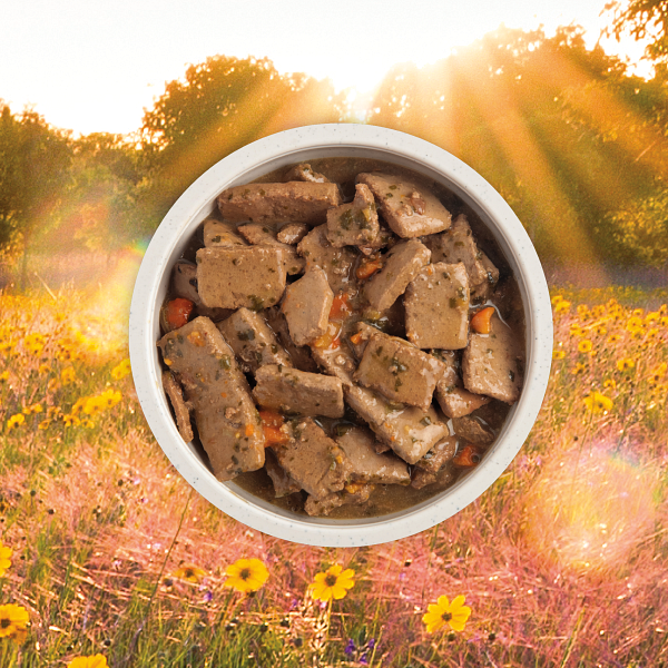 Acana Grain Free Dog Can Food Premium Chunks Beef Recipe