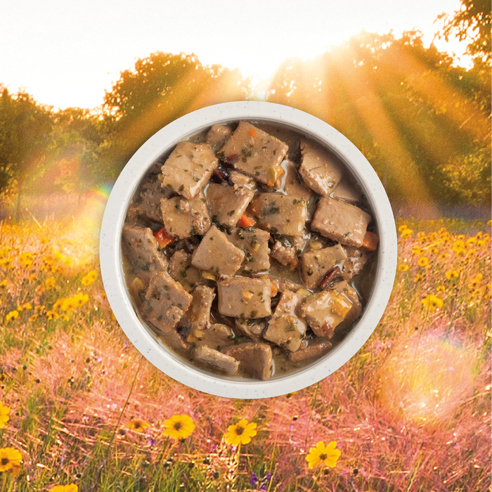 Acana Grain Free Dog Can Food Premium Chunks Duck Recipe