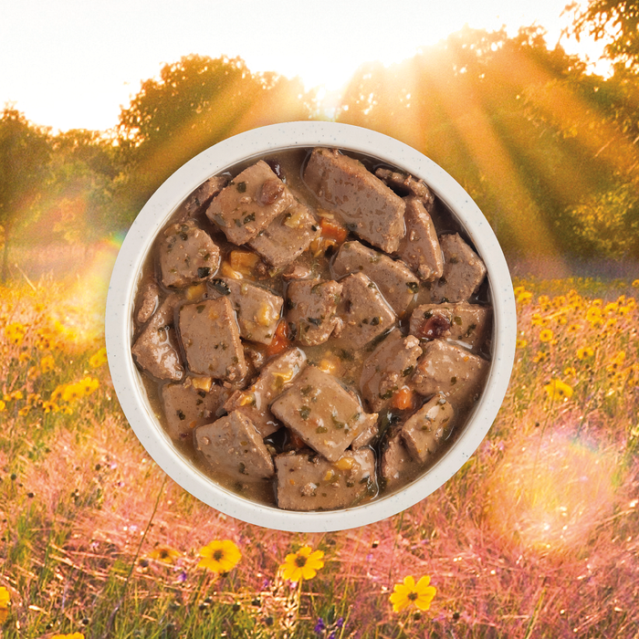 Acana Grain Free Dog Can Food Premium Chunks Pork Recipe