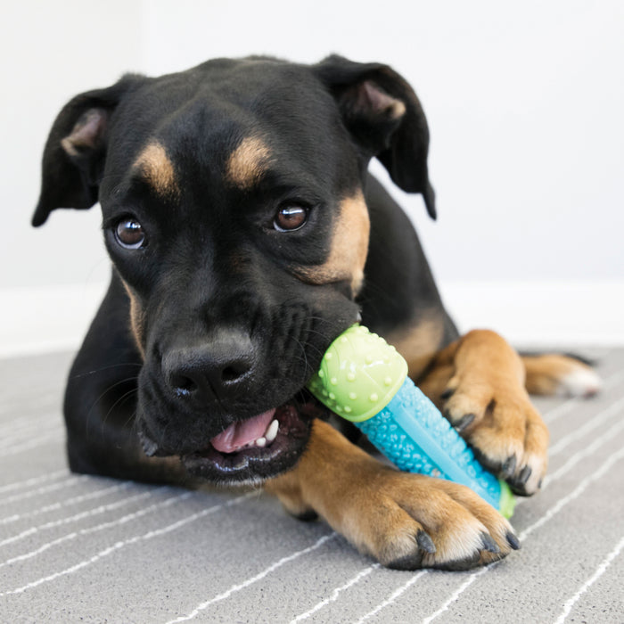 Kong Dog Toy Corestrength Bone