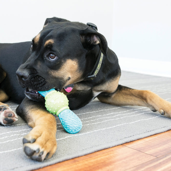 Kong Dog Toy Corestrength Bow Tie