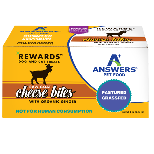 Answers Rewards Frozen Raw Fermented Goat Milk Cheese Treats with Ginger