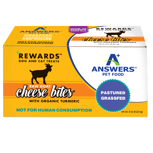 Answers Rewards Frozen Raw Fermented Goat Milk Cheese Treats with Turmeric