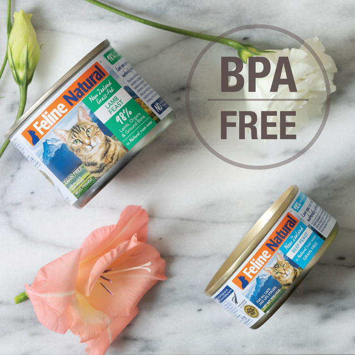 Feline Natural Grain Free Cat Can Food Beef & Hoki