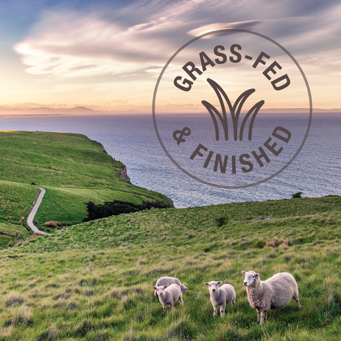 K9 Natural Dog Freeze Dried Food Hoki & Beef Feast