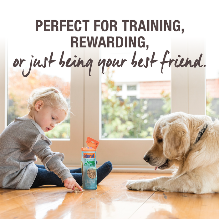 K9 Natural Dog Freeze Dried Healthy Bites Treats Lamb