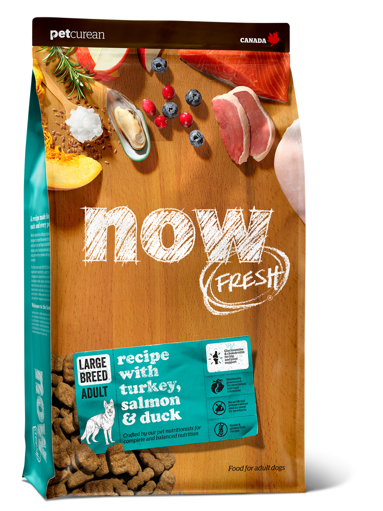 Petcurean Now Fresh Grain Free Dog Dry Food Large Breed Adult