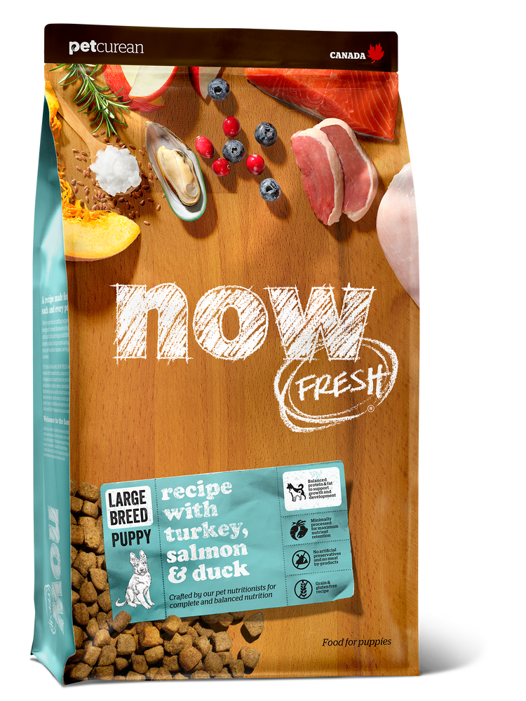 Petcurean Now Fresh Grain Free Dog Dry Food Large Breed Puppy