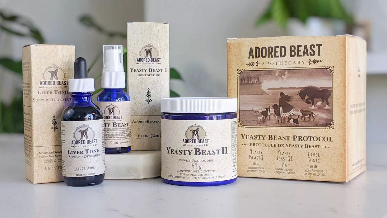 Adored Beast Apothecary Yeasty Beast Protocol Kit