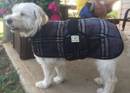 Foggy Mountain Dog Coat Snuggler, Small Sizes (8-12)