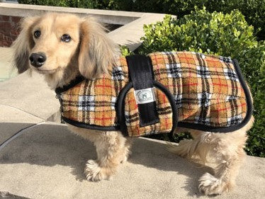 Foggy Mountain Dog Coat Snuggler, Small Sizes (8-12)