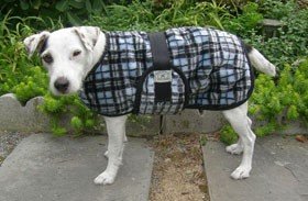 Foggy Mountain Dog Coat Snuggler, Large Sizes (18-28)