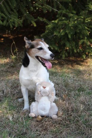 Tall Tails Dog Toy Plush Squeaker Twitchy Tail Squirrel 9"