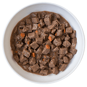 Koha Slow Cooked Stew Dog Grain Free Can Food Santa Fe Skillet