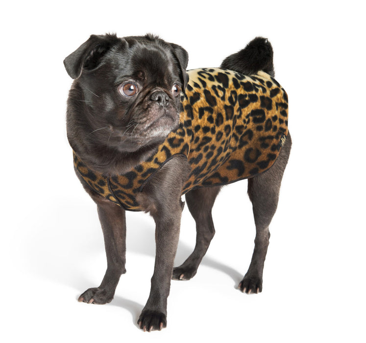 Gold Paw Dog Stretch Fleece, Large Sizes (18-26)