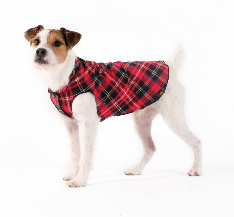 Gold Paw Dog Stretch Fleece, Large Sizes (18-26)