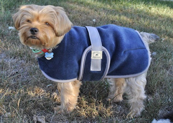 Foggy Mountain Dog Coat Snuggler, Small Sizes (8-12)