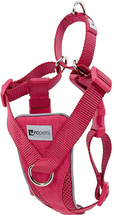 RC Pets Canine Equipment Tempo No Pull Harness