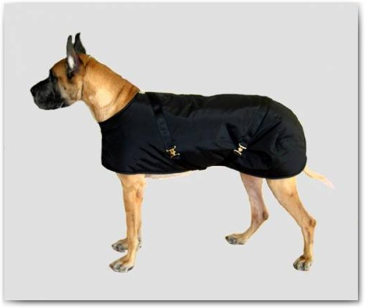 Foggy Mountain Dog Coat Nylon Turnout, Large Sizes (18-28)