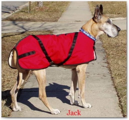 Foggy Mountain Dog Coat Nylon Turnout, Large Sizes (18-28)