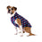 Gold Paw Dog Stretch Fleece, X-Small Sizes (2-6)
