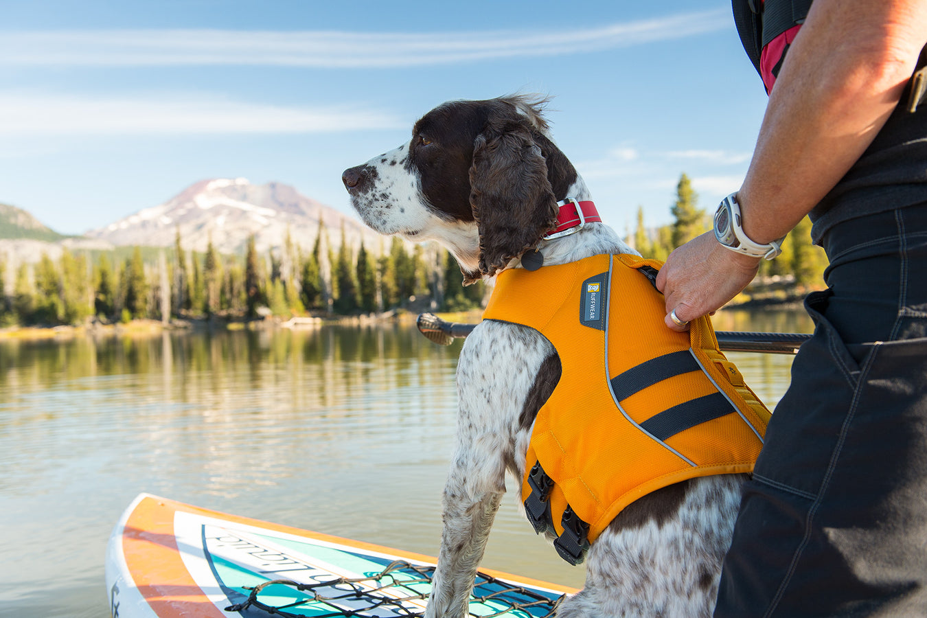 Life Swim Jackets