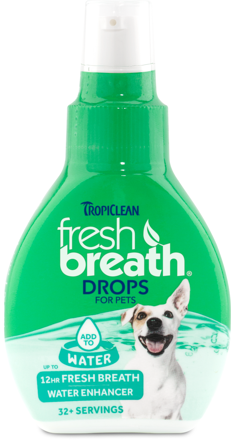 Dental Products