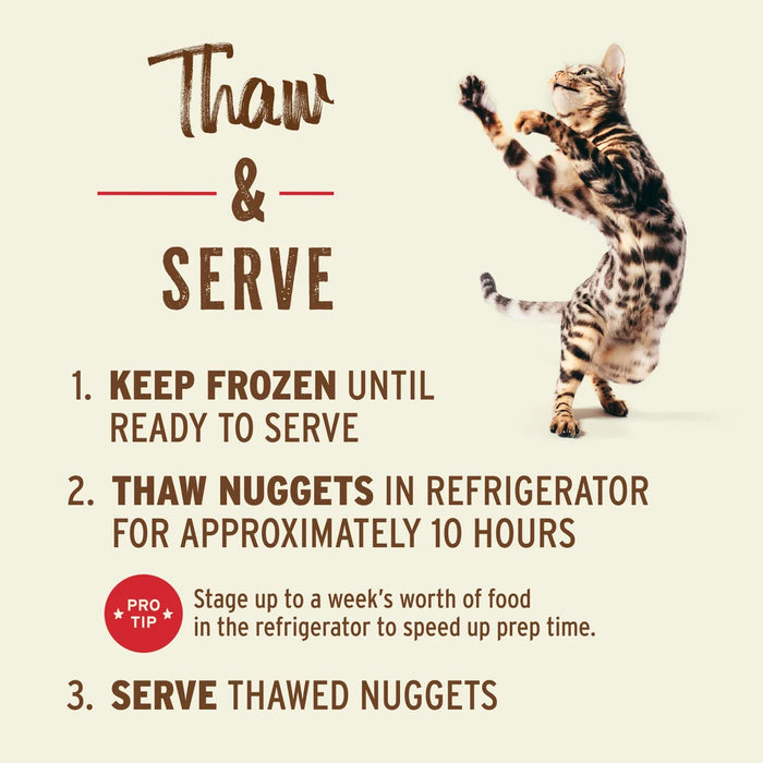 Primal Cat Frozen Raw Food Nuggets Chicken & Salmon