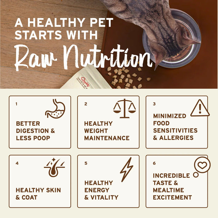 Primal Cat Freeze Dried Food Nuggets Chicken & Salmon