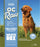 Meaty Rox Frozen Dog Food Lamb & Produce
