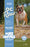 Mini Patties Frozen Dog Food Lamb & Produce