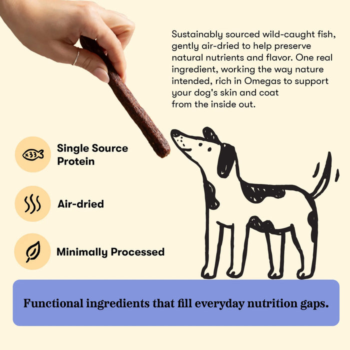 Plato Thinkers Dog Treats Salmon Recipe, 10oz