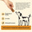 Plato Original Real Strips Dog Treats Salmon Recipe, 18oz
