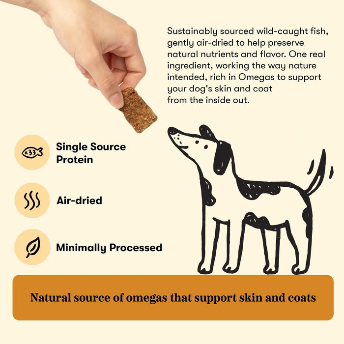Plato Original Real Strips Dog Treats Salmon Recipe, 18oz