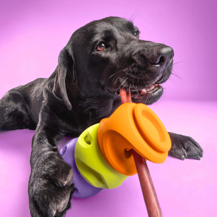 Wag Lab Play Stack Dog Toy The Bully Orange
