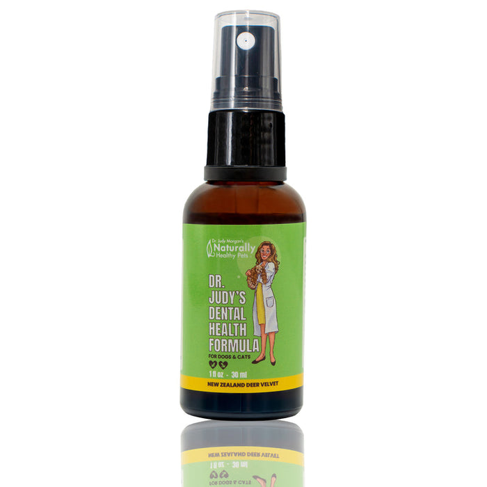 Dr. Judy Morgan's Dental Health Formula for Dogs & Cats 1 fl oz - 30 ml