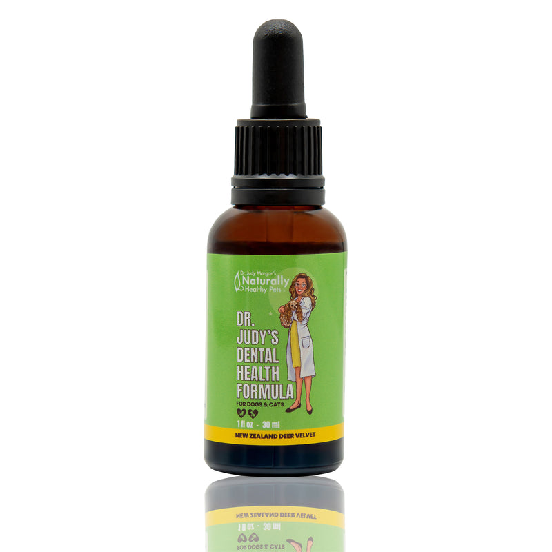 Dr. Judy Morgan's Dental Health Formula for Dogs & Cats 1 fl oz - 30 ml